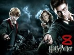 Harry Potter #8
